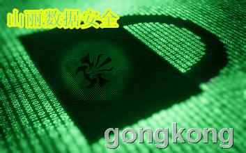 山麗網(wǎng)安 筑牢涉密信息安全防線，加密與防護(hù)軟件雙管齊下